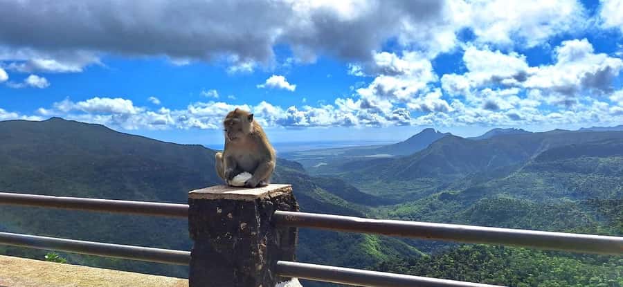 Mauritius: Private South Day Tour with Hotel Transfer - Trou aux Cerfs, the dormant volcano crater you can actually see