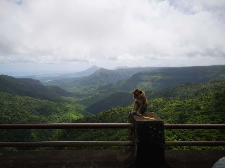 Mauritius: Private South Tour with Pickup - Key highlights you should know