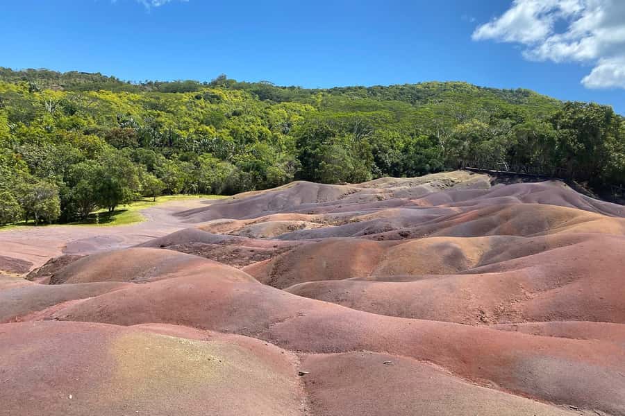 Mauritius: Private South-West Nature & Viewpoints with Lunch - Key highlights that make this tour worth it