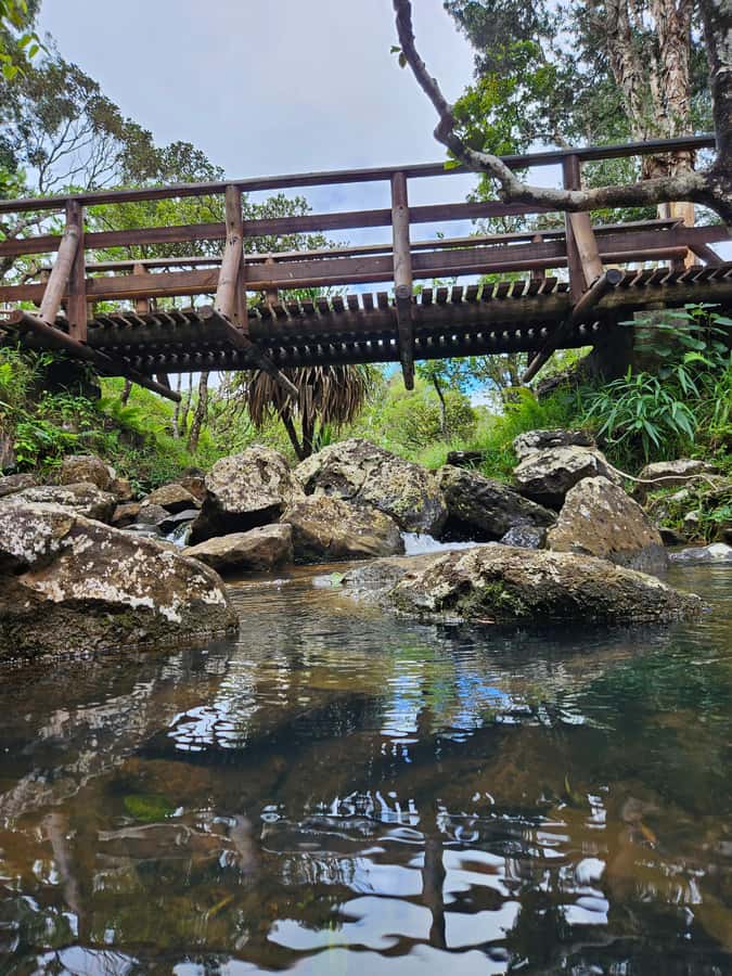 Mauritius: Private Southwest Chamarel Highlights Tour - Grand Bassin (Ganga Talao) and the temple atmosphere inside the crater lake
