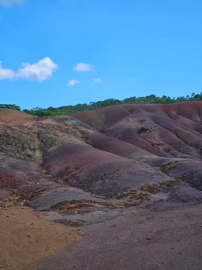 Mauritius: Private Southwest Chamarel Highlights Tour - Black River Gorges National Park: monkeys, paille en queue, and nature spotting
