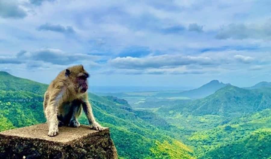 Mauritius: Private Southwest Day Tour - Lunch, entry tickets, and the cash detail that matters