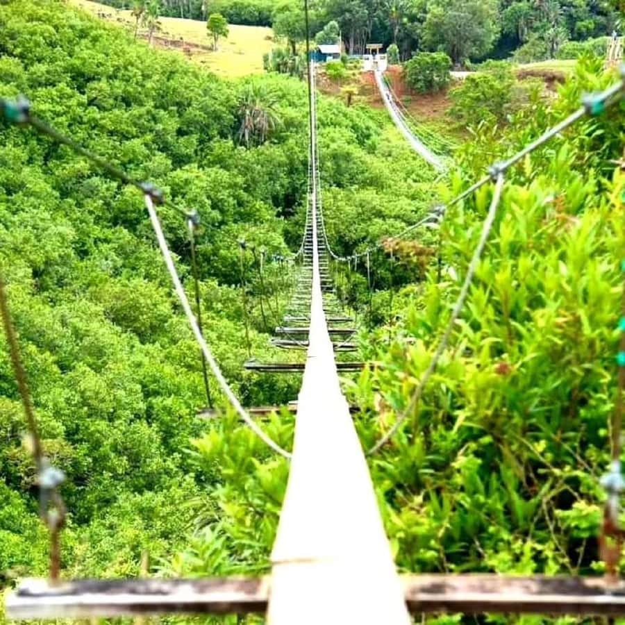 Mauritius: Private Southwest Day Tour - Trou aux Cerfs: extinct volcano and the Curepipe 360-degree moment