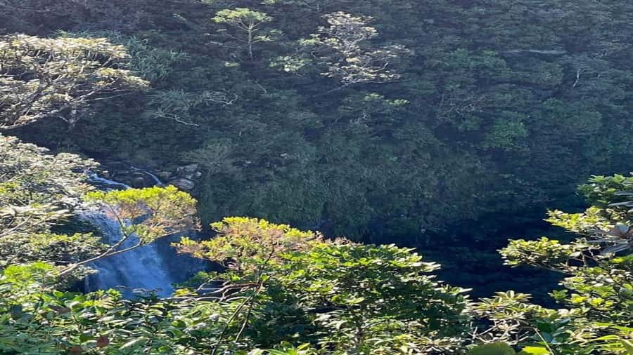 Mauritius: private southwest tour - Trou aux Cerfs: the dormant crater viewpoint that sets the tone