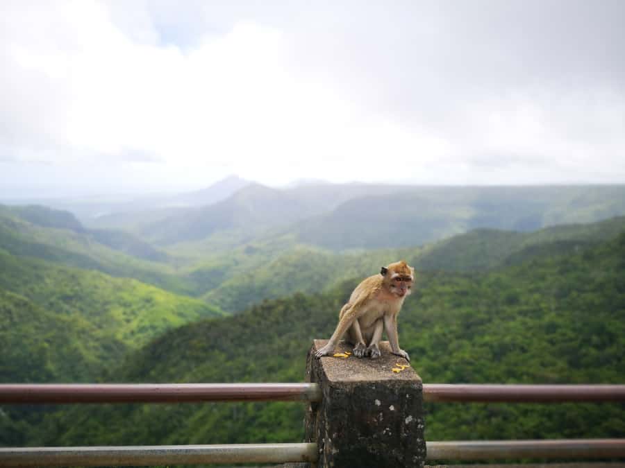 Mauritius: Private Southwest Tour with Pickup - Chamarel 7 Colored Earth: the stop that turns into a souvenir-worthy moment