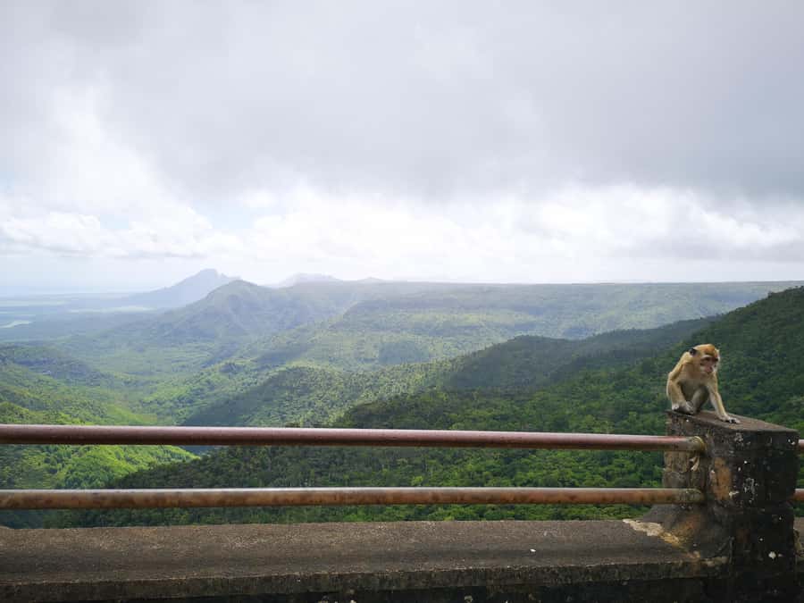 Mauritius: Private Southwest Tour with Pickup - Who this tour fits best, and who should skip it