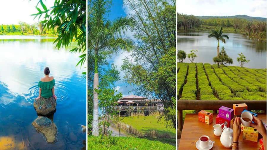 Mauritius : private wild south fullday tour - How the route works for your day