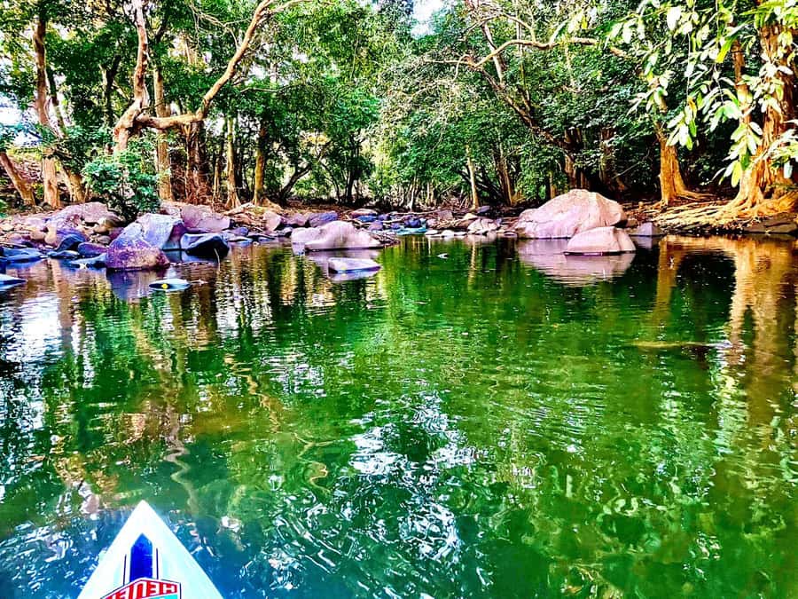 Mauritius: River Guided Kayak Tour with Monkeys - What the Paddling Feels Like for First-Timers