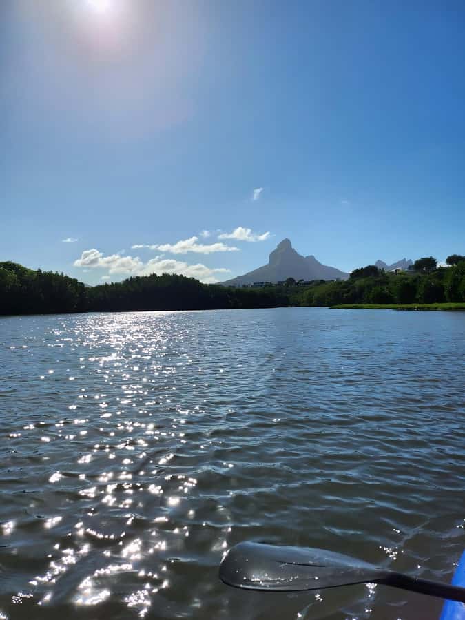 Mauritius: River Guided Kayak Tour with Monkeys - Meet Lakaz Kayak LTD in Tamarin, Then Get Oriented