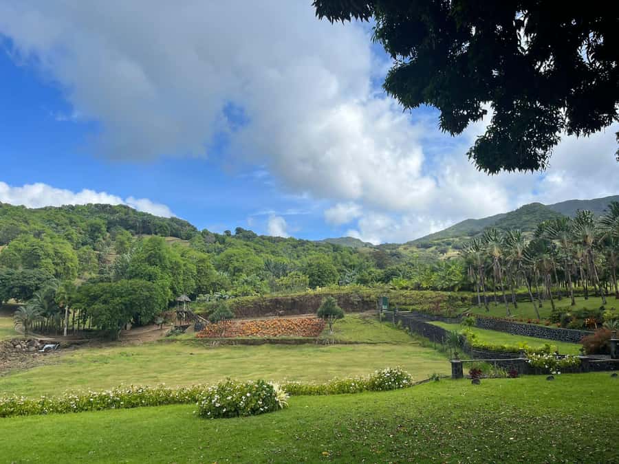 Mauritius: Scenic Bike Trails with Gear & Shuttle - How the 4x4 Shuttle Changes the Whole Ride