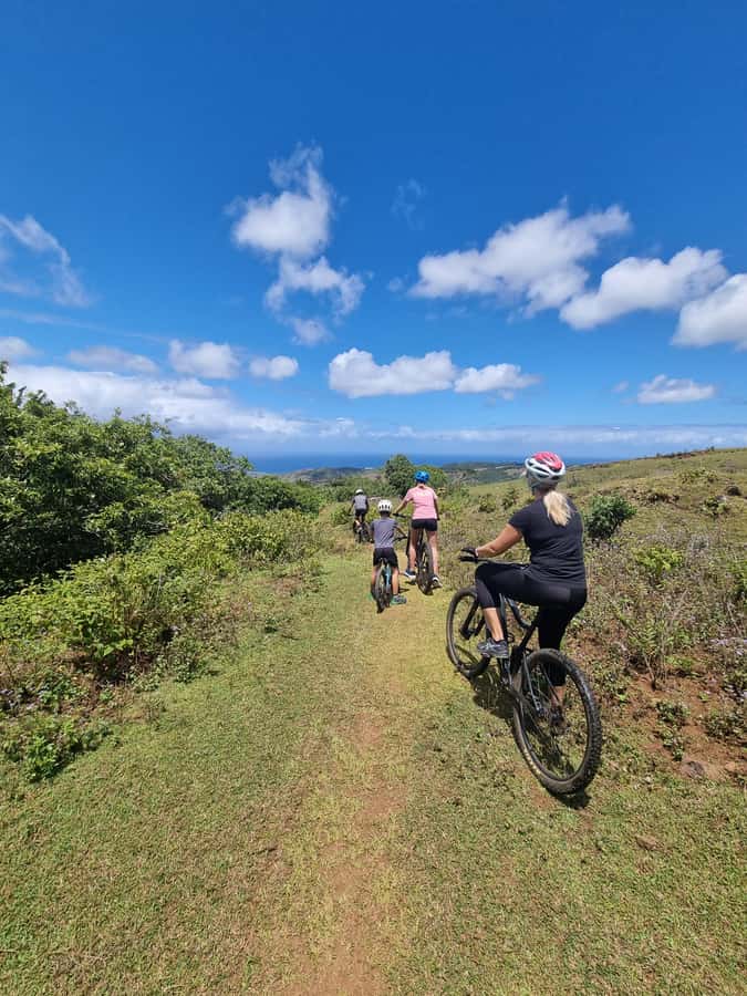 Mauritius: Scenic Bike Trails with Gear & Shuttle - Green to Red Trails: What Difficulty Really Means Here