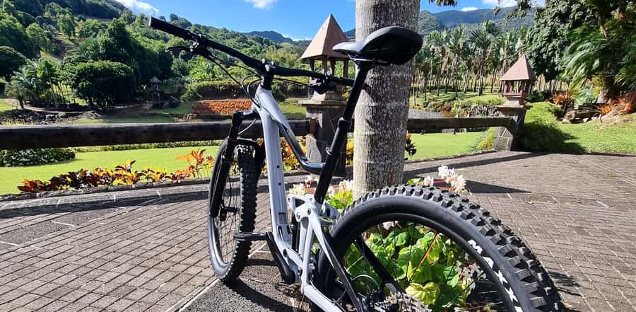 Mauritius: Scenic Bike Trails with Gear & Shuttle - Wildlife Moments in the Middle of Your Ride
