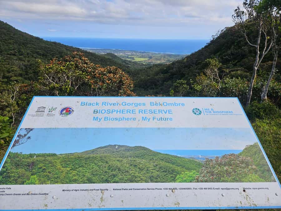 Mauritius: Sights of the South Private Tour with Rum Tasting - Black River Gorges National Park and Alexandra Falls Viewpoints