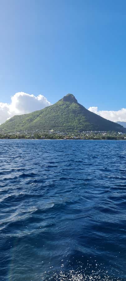 Mauritius: Snorkel and Swim with Dolphins on Speedboat Tour - Crew and Captain Jérôme: Why Professional Leadership Changes Everything