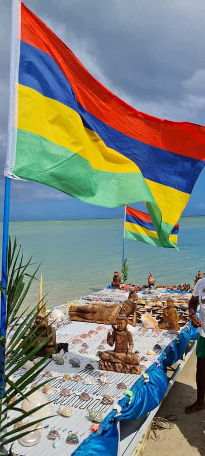 Mauritius: Snorkel and Swim with Dolphins on Speedboat Tour - Practical Considerations Before You Go (Based on How the Trip Works)