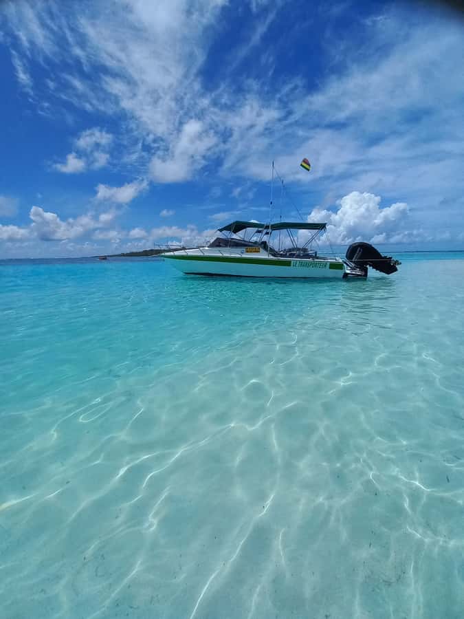 Mauritius: Snorkeling with turtles Le Transporteur speedboat - The Le Transporteur Speedboat Experience: Fast, Practical, and Comfortable
