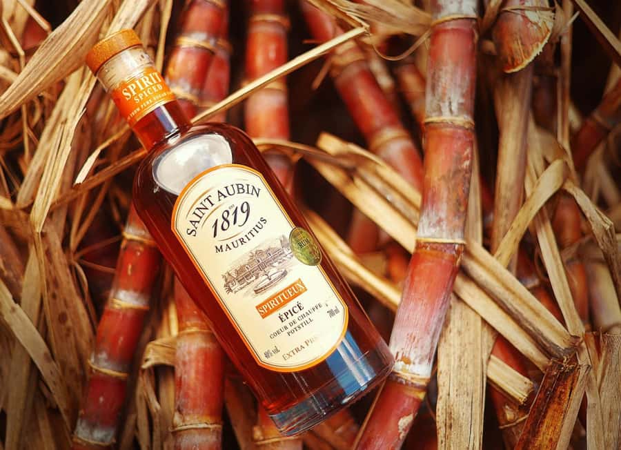 Mauritius: South of the Island Private Full-Day Tour - Rhumerie St Aubin Rum Tasting, Colonial House Vibes, Real Production Talk