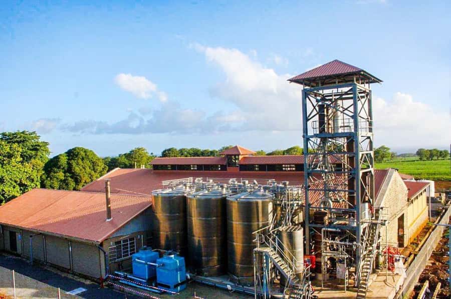 Mauritius: South of the Island Private Full-Day Tour - Bois Chéri Tea Factory and the Panoramic 360 View Tea Tasting