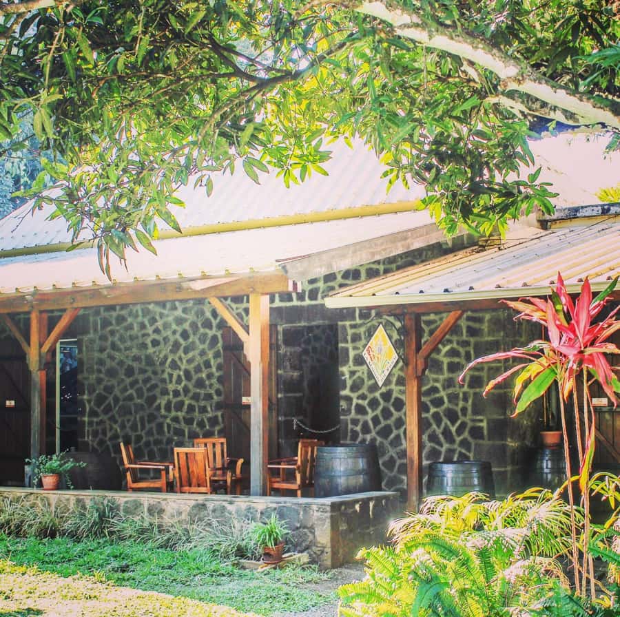Mauritius: South of the Island Private Full-Day Tour - Chamarel Viewpoint, Ile Aux Benitier, and Your 3-Course Lunch Stop