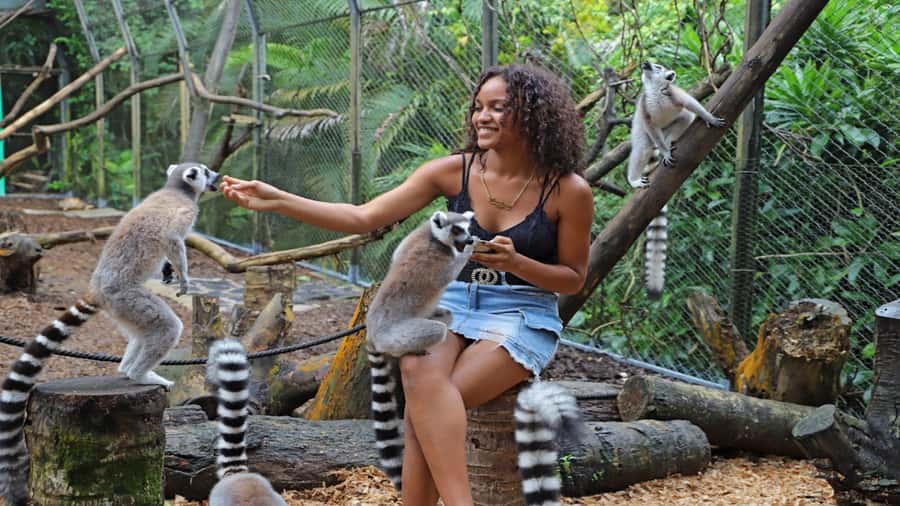 Mauritius: Southern Tour Incl. Adventure Park & Le Morne - Southern Mauritius, without the tourist rush