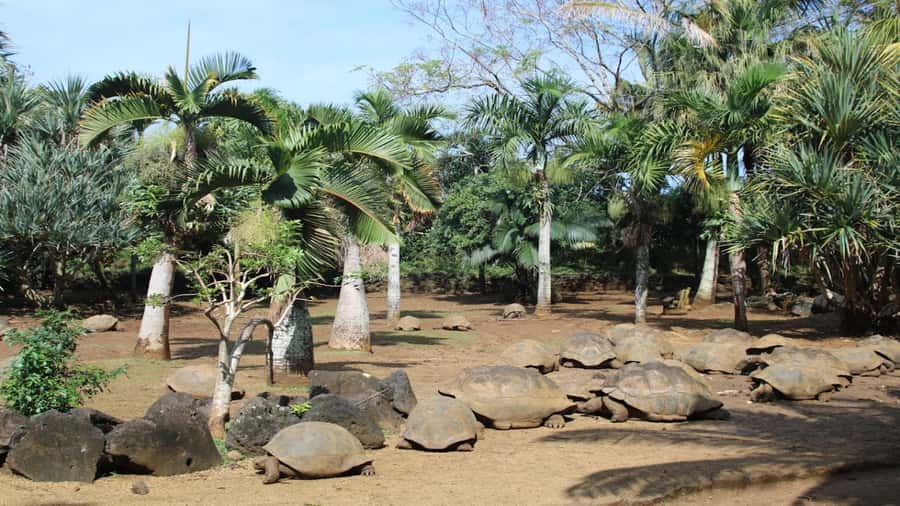 Mauritius: Southern Tour Incl. Adventure Park & Le Morne - Beaches in southern style: Gris Gris, Rivière des Galets, and Bel Ombre
