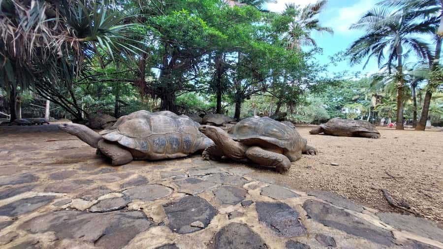 Mauritius: Southern Tour Incl. Adventure Park & Le Morne - Le Morne Beach: where the day finally slows down