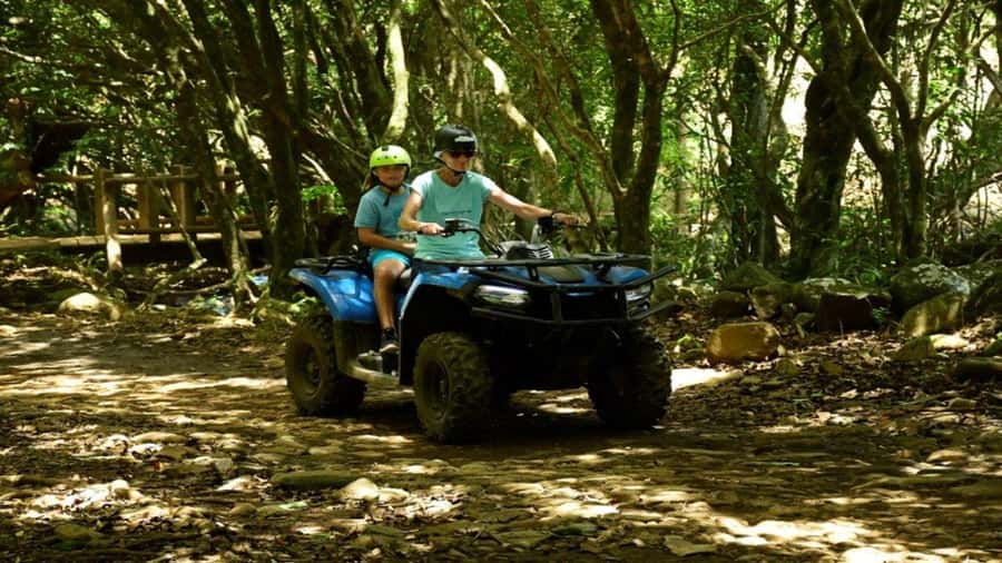 Mauritius: Southern Tour Incl. Adventure Park & Le Morne - Price and value: $125 per group up to 4