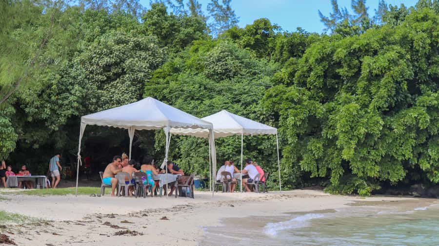 Mauritius: Speedboat Tour to Ile aux Cerfs with Lunch - Language and guide support: French and English