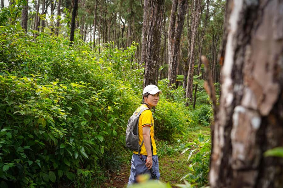 Mauritius: Sunrise Mountain Hike with Southwest Road-trip - Key highlights you will actually care about