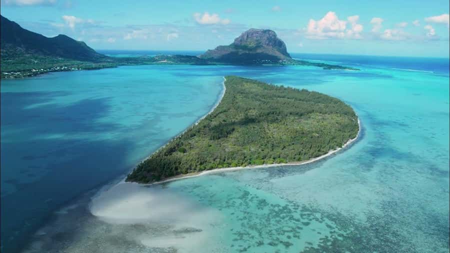 Mauritius: Swim with Dolphins Full-Day with Lunch/Drinks - Key moments you should care about