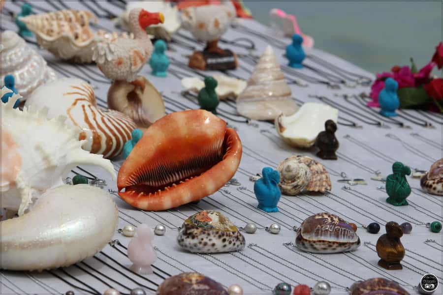 Mauritius: Swim with Dolphins Full-Day with Lunch/Drinks - Île aux Bénitiers BBQ lunch: your beach reset