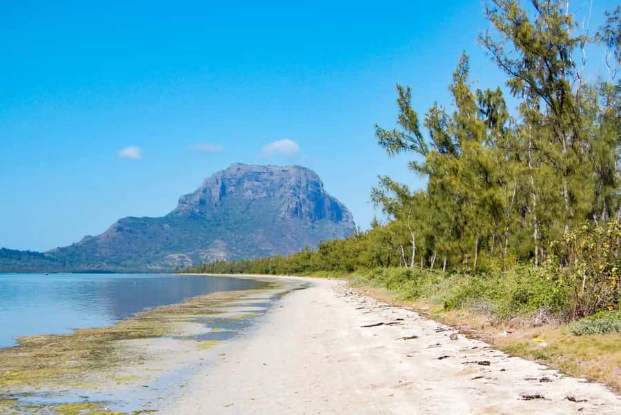 Mauritius: Swim with Dolphins Full-Day with Lunch/Drinks - Crystal Rock: short swim, big photo value