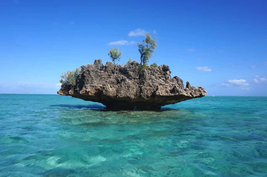 Mauritius: Swim with Dolphins Full-Day with Lunch/Drinks - The speedboat dolphin search: exciting, fast, and a little chaotic