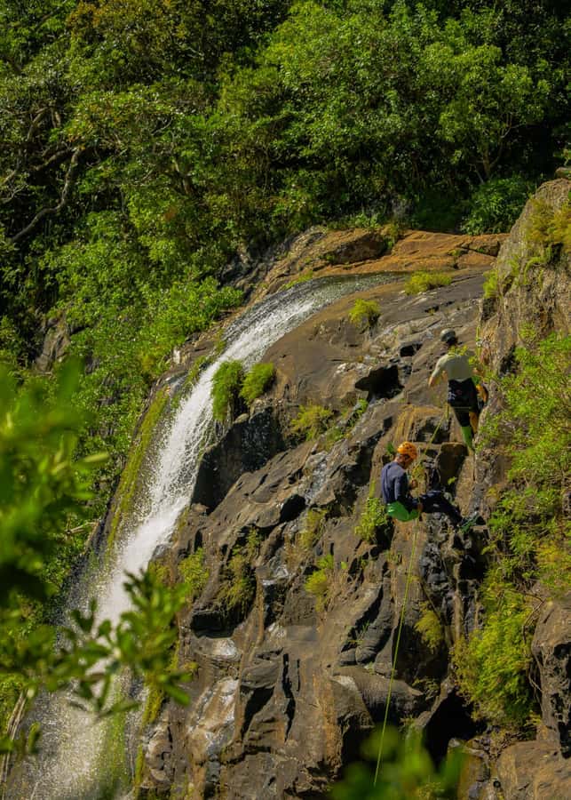 Mauritius: Tamarind Falls Canyoning Adventure - Price and value: why $88 can make sense for this mix