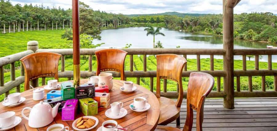 Mauritius: Tea, Rum and Vanilla Route with Lunch and Pickup - Le Domaine de Saint Aubin: vanilla and rum plus the scent of spices and herbs