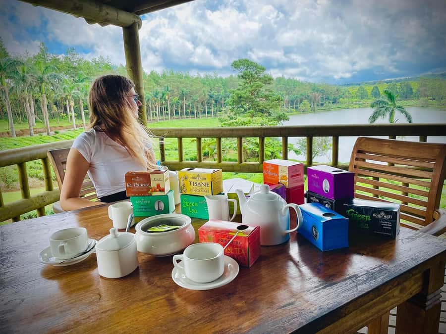 Mauritius: Tea, Rum and Vanilla Route with Lunch and Pickup - Le Domaine des Aubineaux: colonial charm plus botanical walks