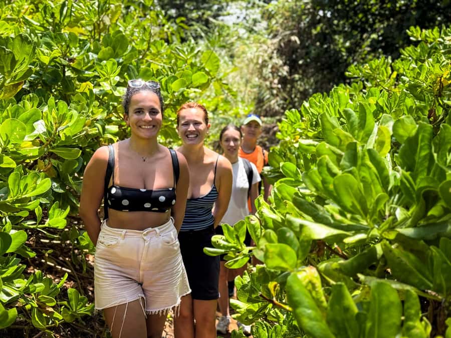 Mauritius: The Wild South Hiking Tour with a Guide - Price and Value, Is $65 Worth It for 3 Hours?