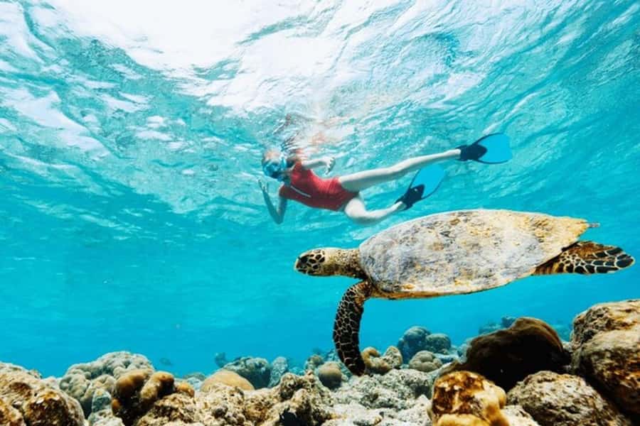 Mauritius: Turtle Swim and North Discovery Tour with Pickup - The North Mauritius Route: Pickup, Timing, and the 15-Minute Reality