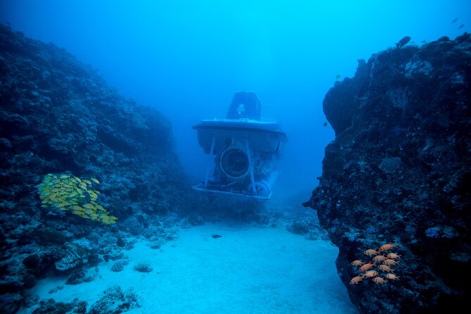 Mauritius Unique Submarine Tour - Key Things To Love About the Blue Safari Submarine Tour