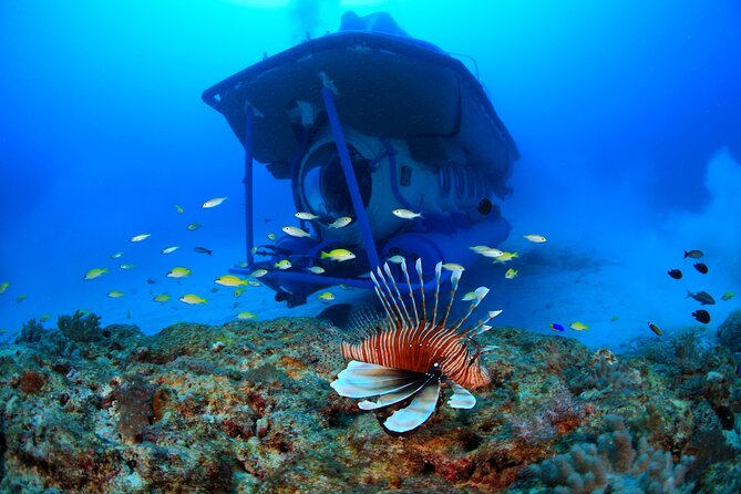 Mauritius Unique Submarine Tour - What the Price Covers, and What You Should Budget