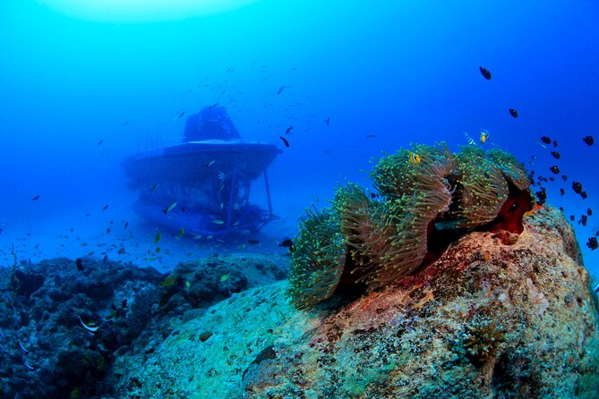 Mauritius Unique Submarine Tour - Inside the Submarine: 45 Minutes With a Purpose