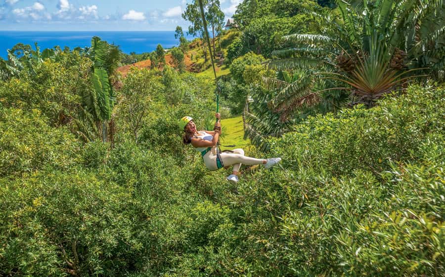 Mauritius: Vallé Advenature Park - Adventure Tour Zipline - Sitting-harness safety, and tips for your body type