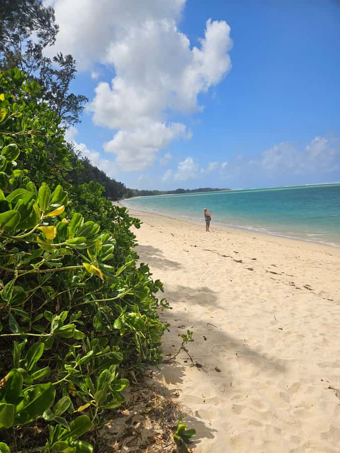 Mauritius: Vanilla Park & Beaches Tour with Extra Option - Gris Gris Beach, Maconde Viewpoint, and Le Morne’s UNESCO Coast