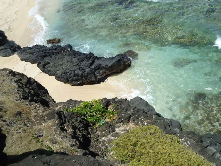 Mauritius: Vanilla Park & Beaches Tour with Extra Option - La Vanille Nature Crocodile Park, the Tortoise Time Machine