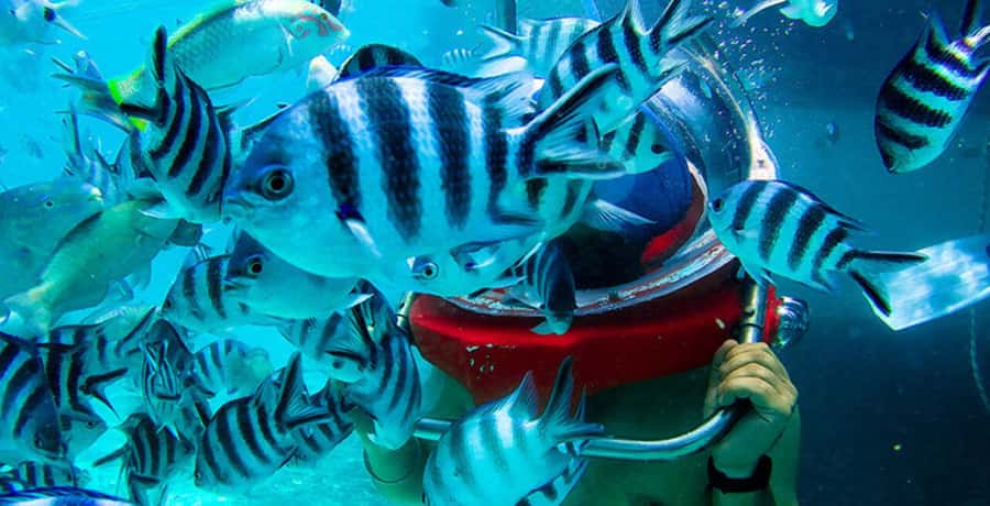 Mauritius: Watersport Adventure Day with Lunch and Pickup - Tube ride: speed control with signals (and a monitor who sets you in)