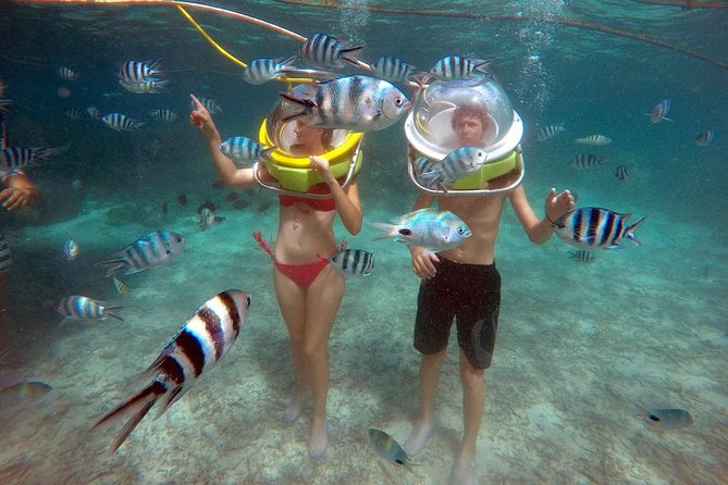 Mesmerizing Ile aux Cerf: Speed Boat, GRSE, Lunch & Undersea walk (Full Day) - Why this full-day Ile aux Cerfs trip feels different
