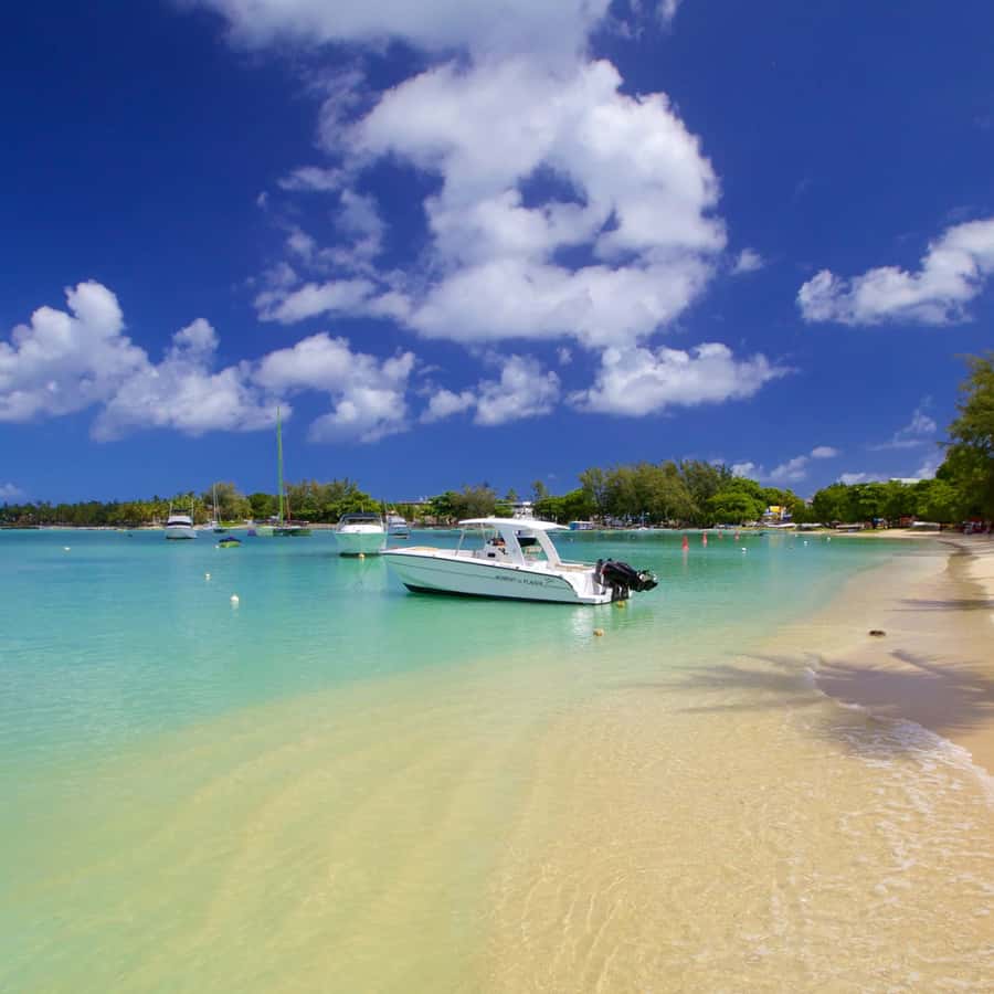 North Day Tour, Botanical Garden, Sugar Museum, Rum Tasting - Price and Logistics: Is $176 Per Group Up to 3 Good Value?