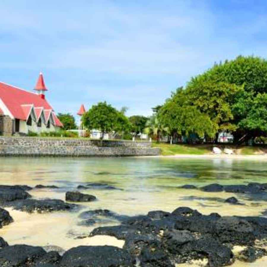 North Day Tour, Botanical Garden, Sugar Museum, Rum Tasting - What to Pack and How to Handle an 8-Hour Day