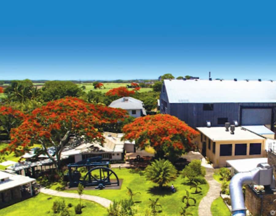 North Day Tour, Botanical Garden, Sugar Museum, Rum Tasting - Meeting Your Driver and Building Your Route Around You