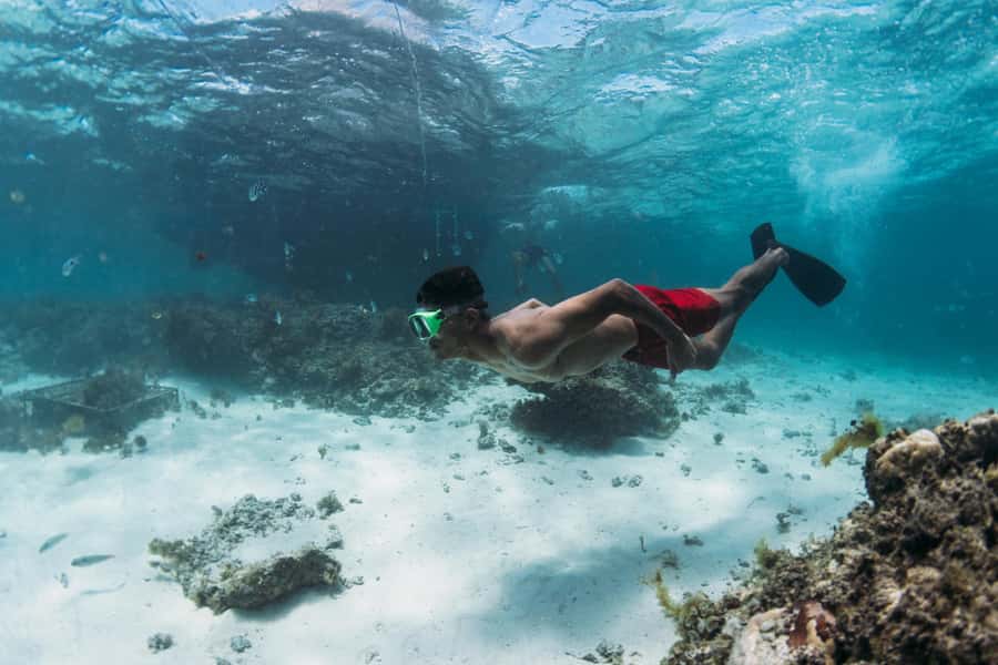 North East of Mauritius: Catamaran Cruise w/ BBQ Lunch - Comfort, safety, and what to bring for a smooth day at sea